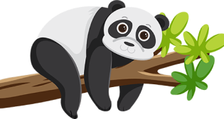 Panda on Branch